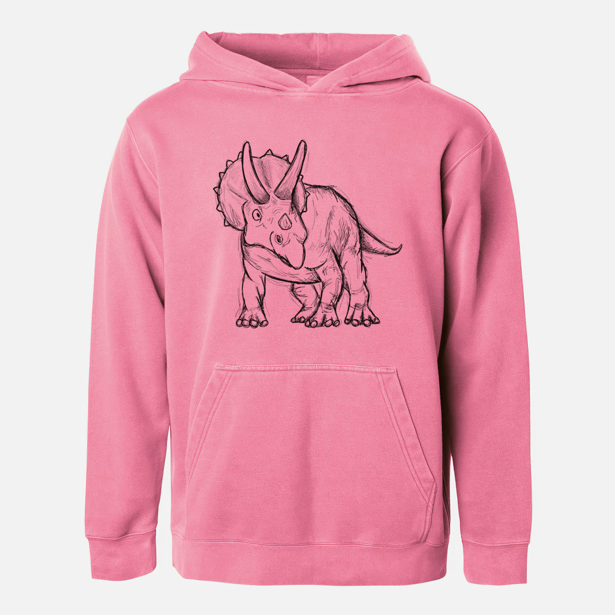 Triceratops Horridus - Youth Pigment Dyed Hoodie