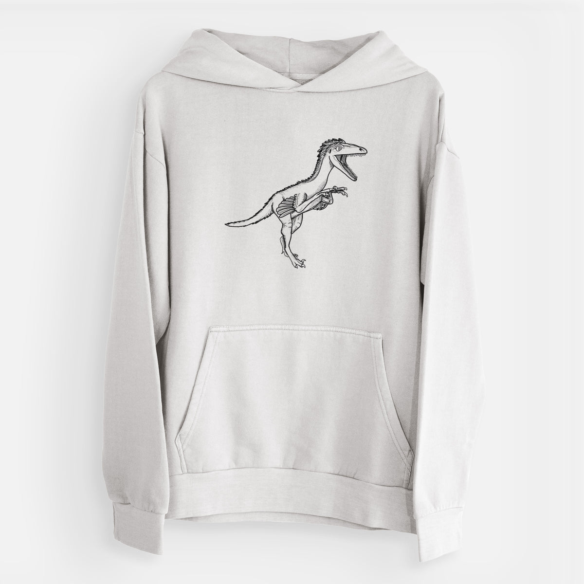 Troodon Formosus  - Urban Heavyweight Hoodie