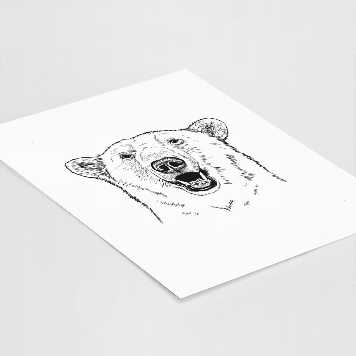 Ursus Maritimus - Polar Bear - Fine Art Print