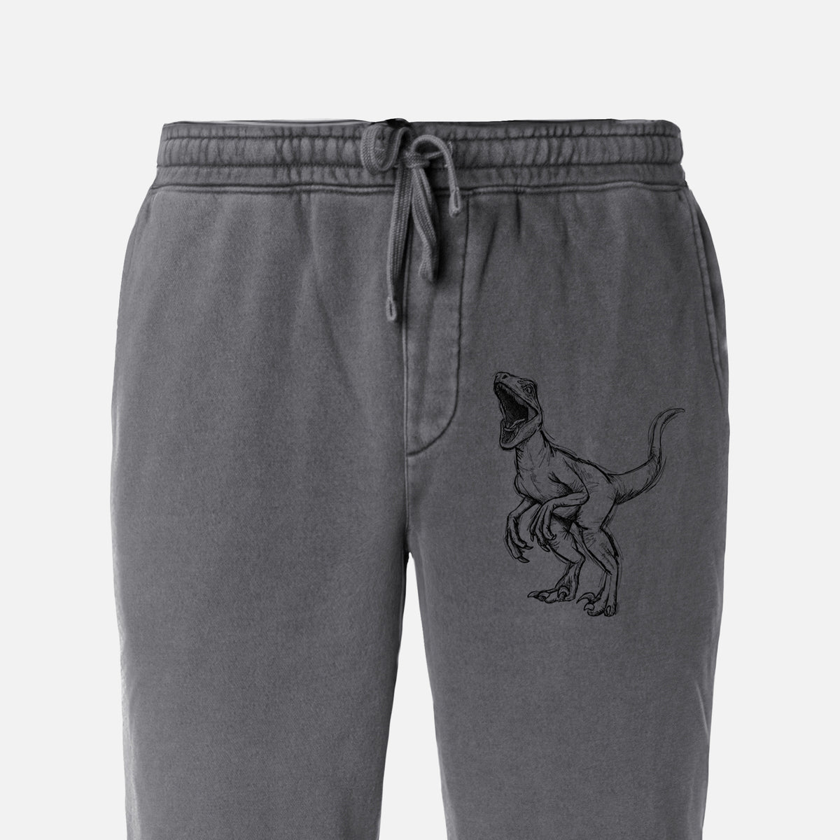 Velociraptor Mongoliensis - Unisex Pigment Dyed Sweatpants