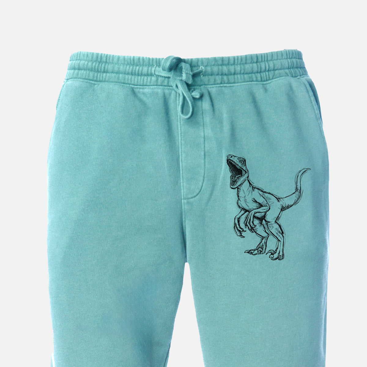 Velociraptor Mongoliensis - Unisex Pigment Dyed Sweatpants