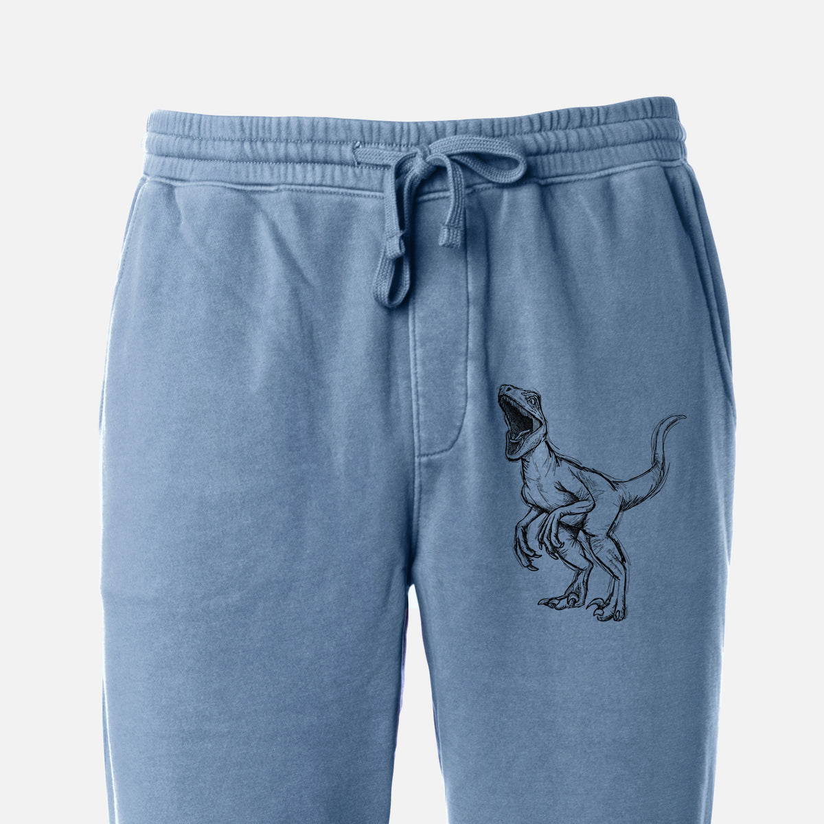 Velociraptor Mongoliensis - Unisex Pigment Dyed Sweatpants