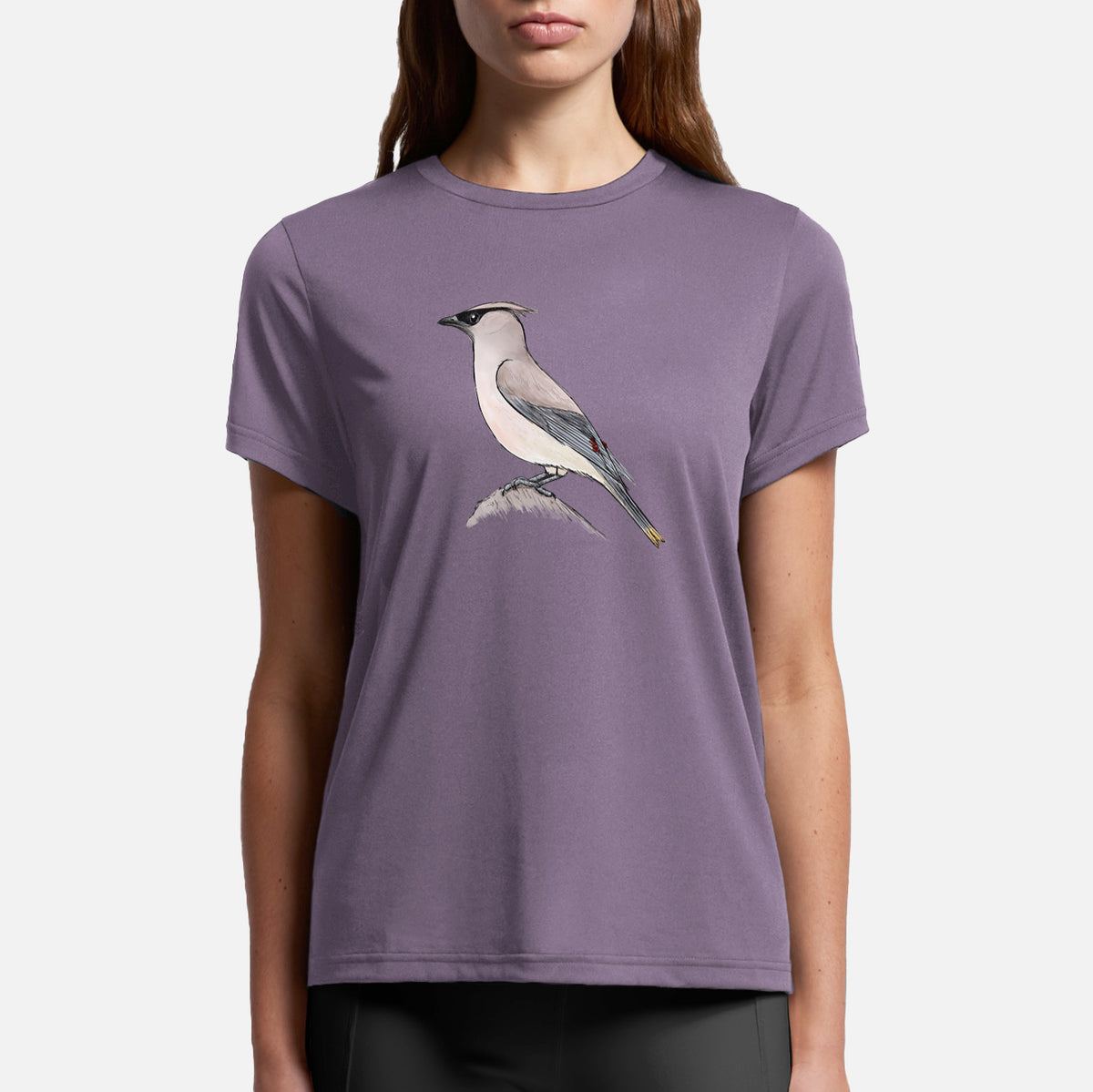 Vibrant Cedar Waxwing - Bombycilla cedrorum - Womens Everyday Maple Tee