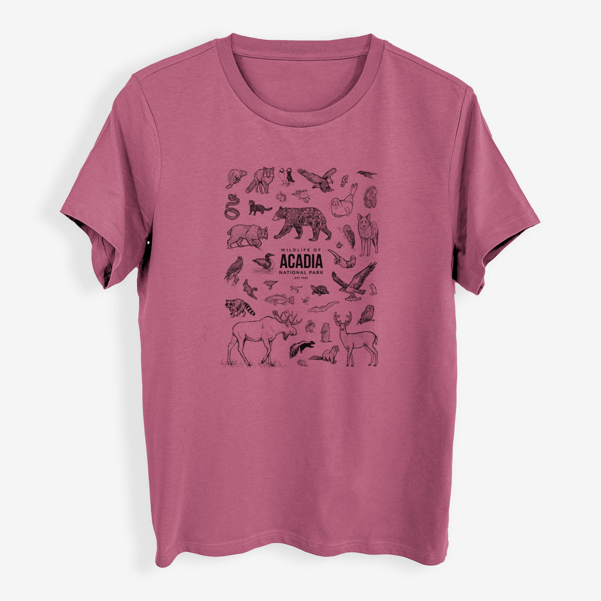 Wildlife of Acadia National Park - Womens Everyday Maple Tee