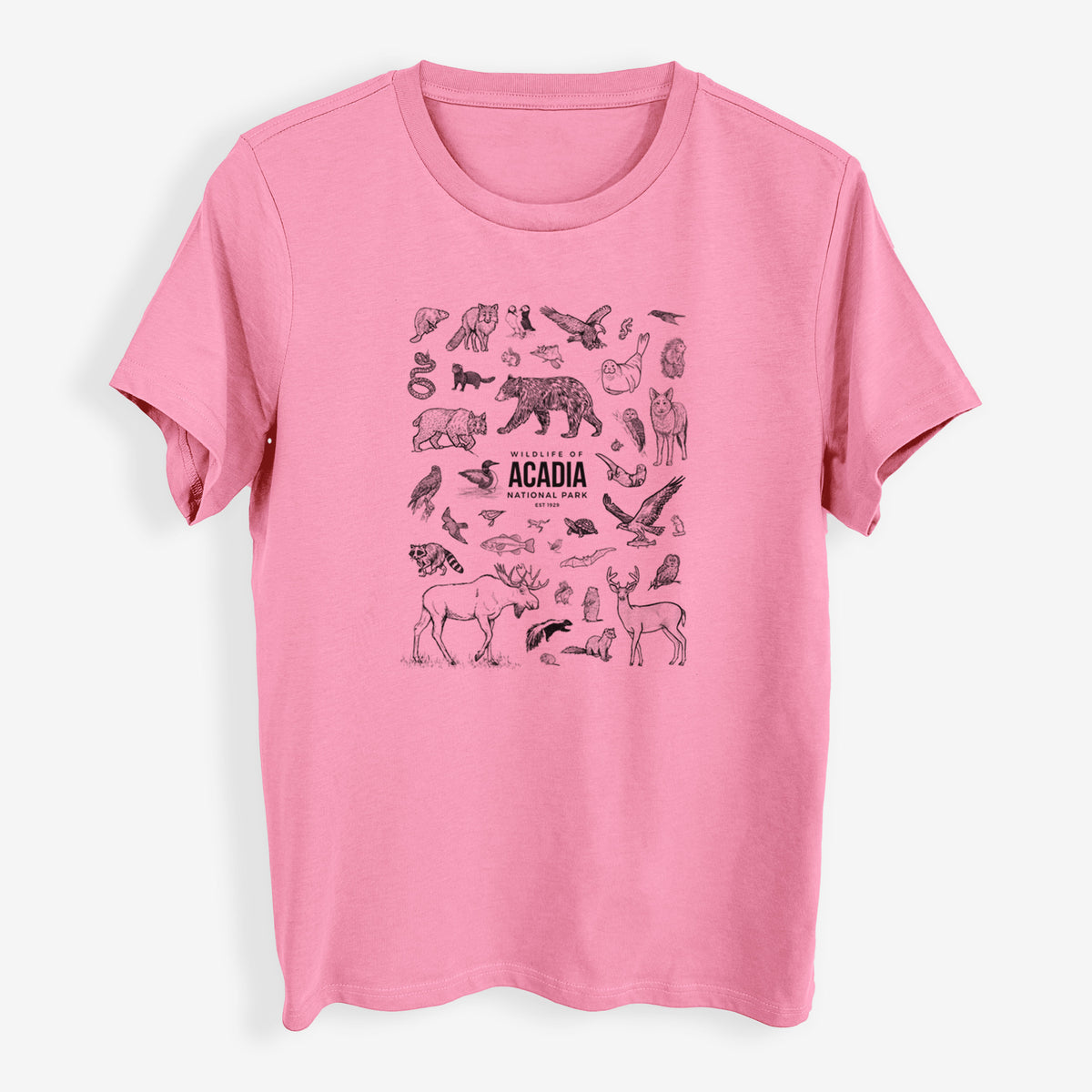 Wildlife of Acadia National Park - Womens Everyday Maple Tee