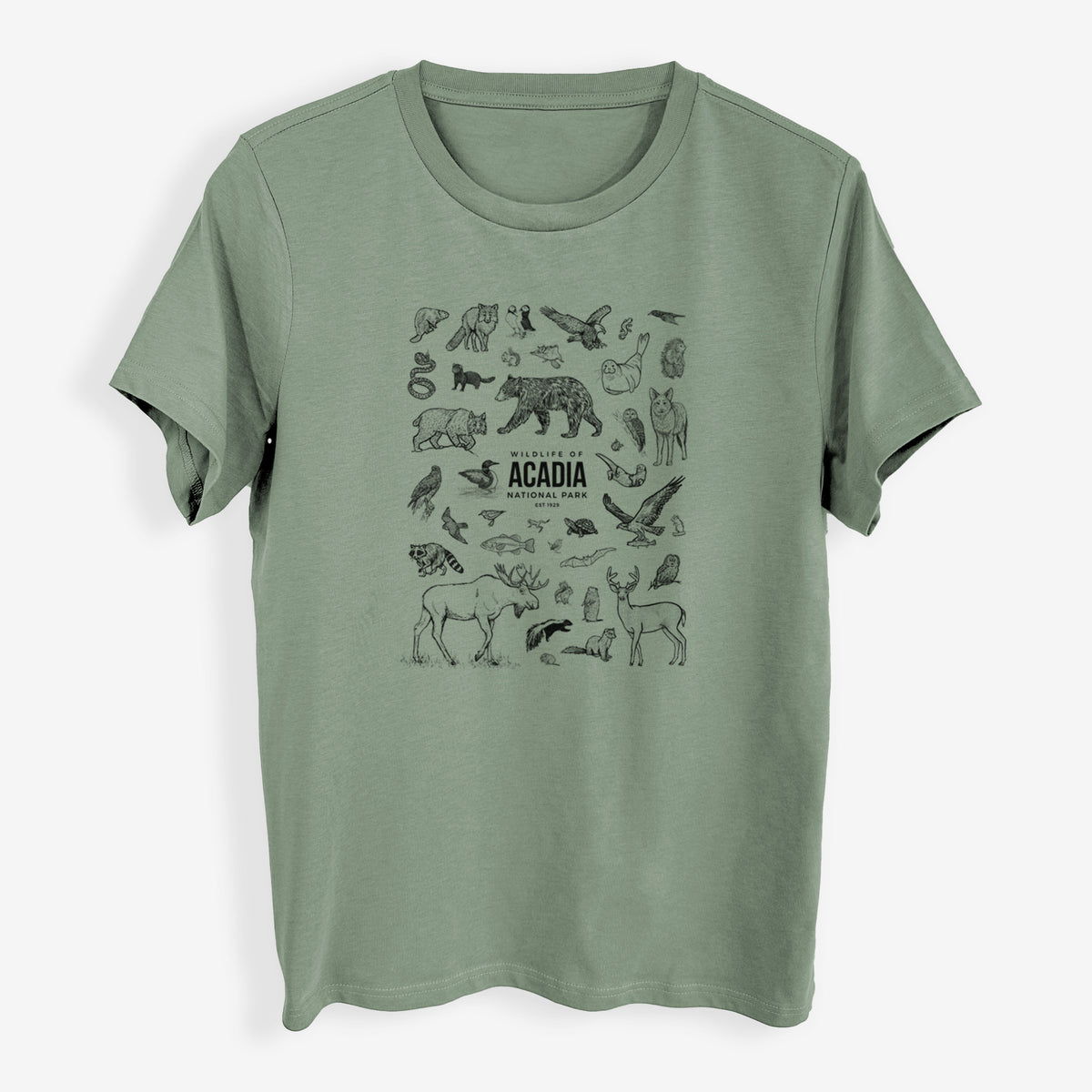 Wildlife of Acadia National Park - Womens Everyday Maple Tee