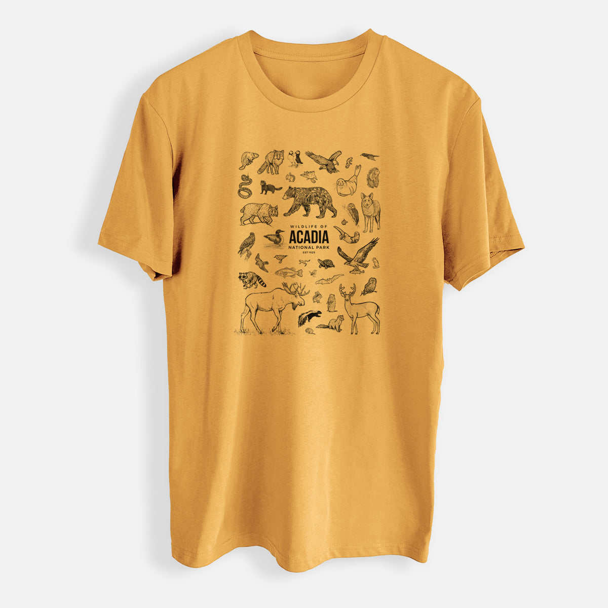 Wildlife of Acadia National Park - Mens Everyday Staple Tee