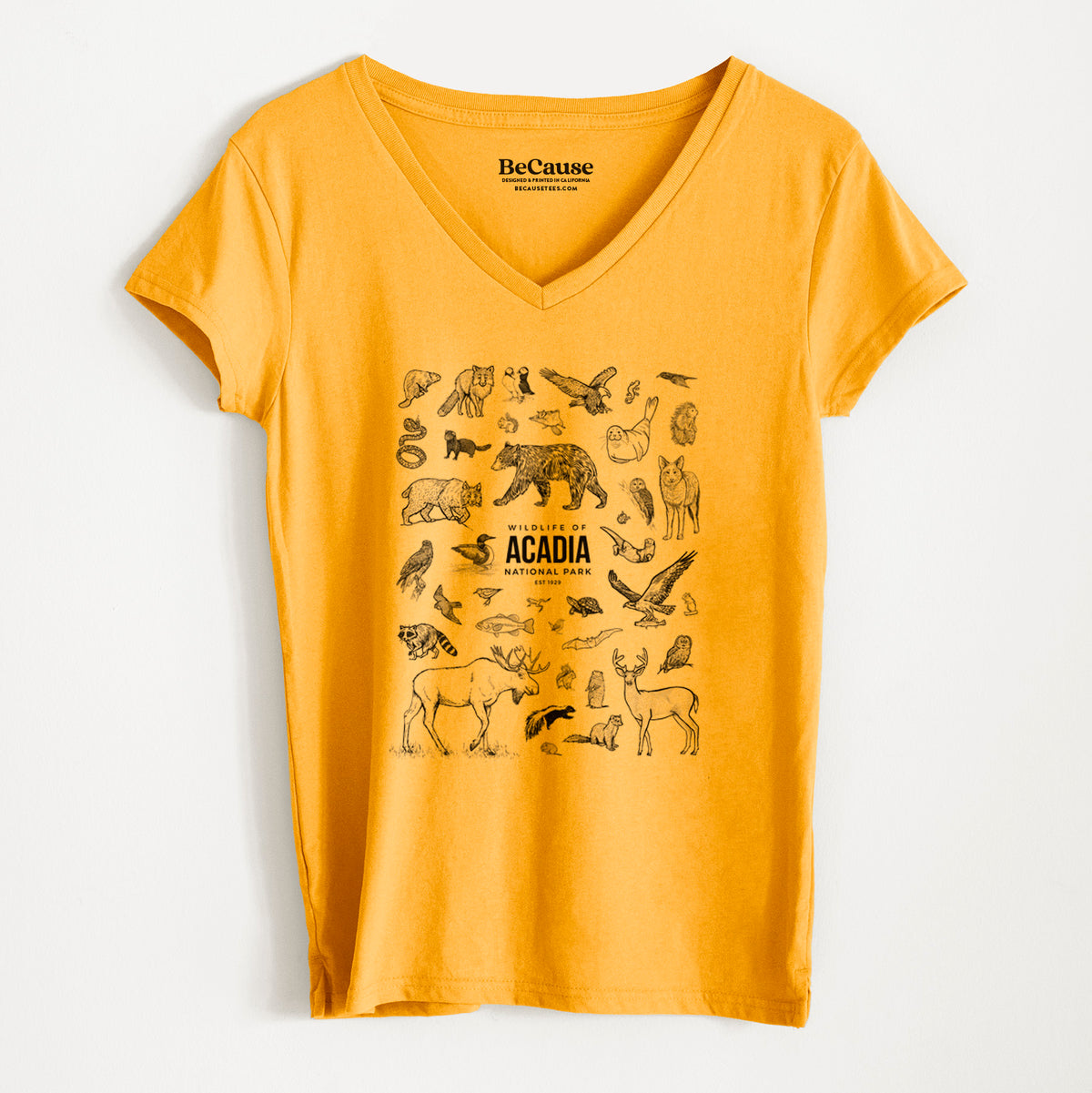 Wildlife of Acadia National Park - Women&#39;s 100% Recycled V-neck