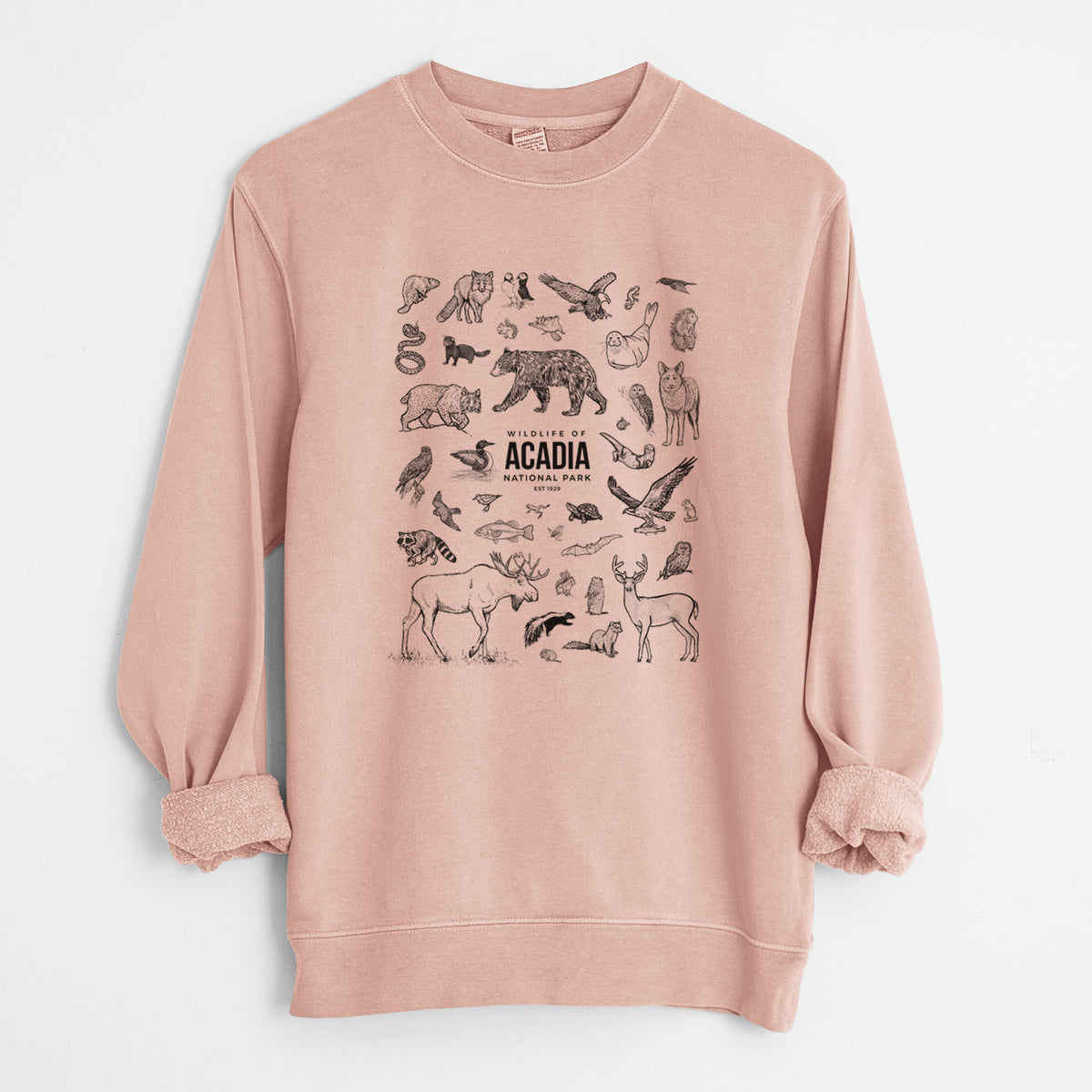 Wildlife of Acadia National Park - Unisex Pigment Dyed Crew Sweatshirt