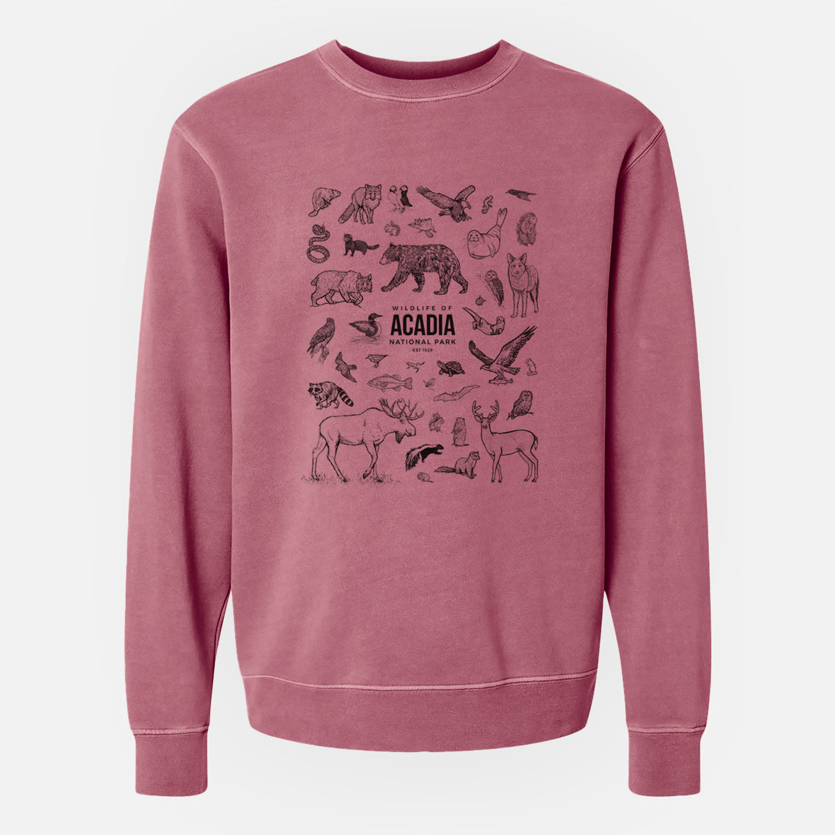 Wildlife of Acadia National Park - Unisex Pigment Dyed Crew Sweatshirt