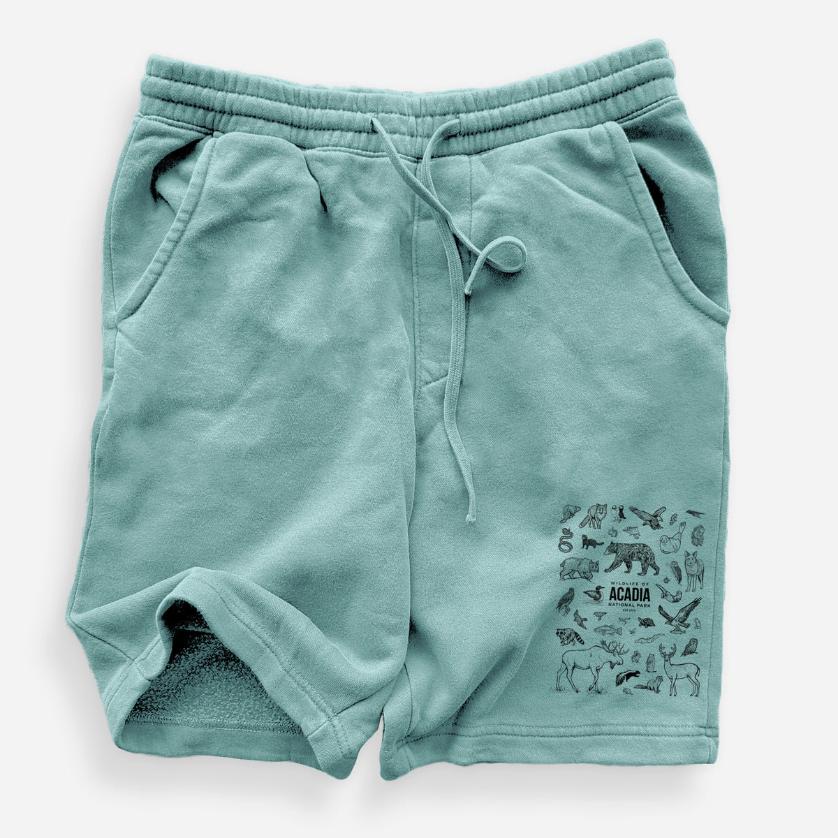 Wildlife of Acadia National Park - Unisex Pigment Dyed Shorts