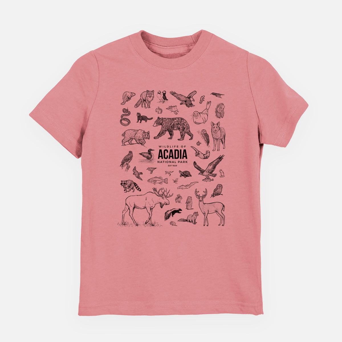 Wildlife of Acadia National Park - Youth Shirt