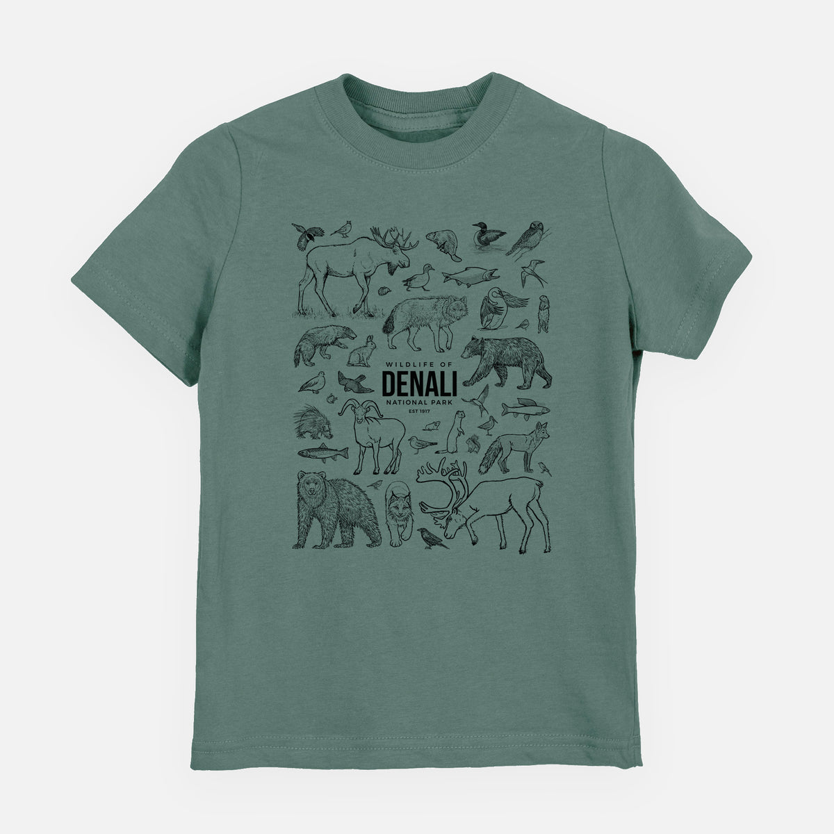 Wildlife of Denali National Park - Youth Shirt