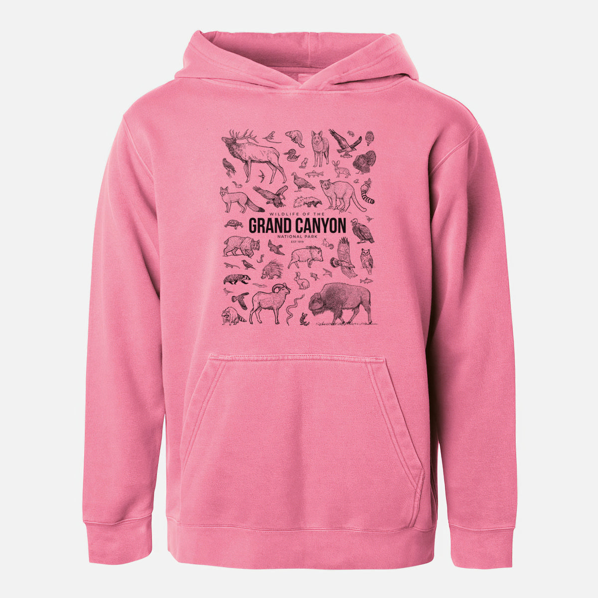 Wildlife of the Grand Canyon National Park - Youth Pigment Dyed Hoodie