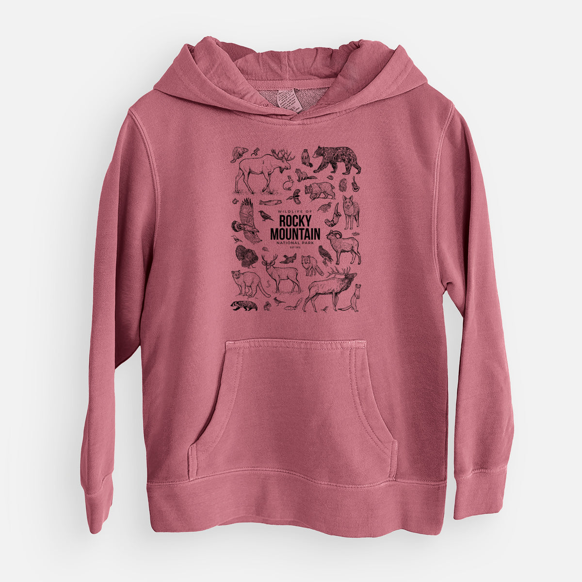 Wildlife of the Rocky Mountain National Park - Youth Pigment Dyed Hoodie