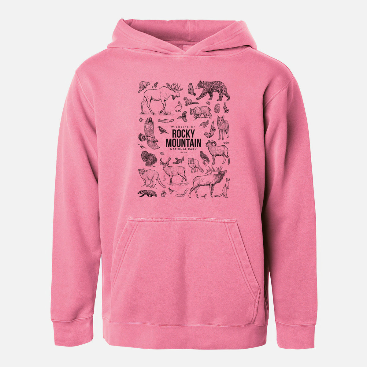 Wildlife of the Rocky Mountain National Park - Youth Pigment Dyed Hoodie