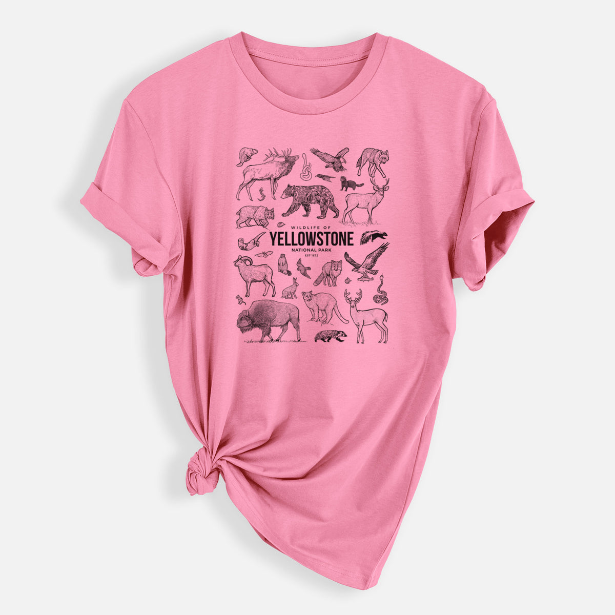 Wildlife of Yellowstone National Park - Mens Everyday Staple Tee