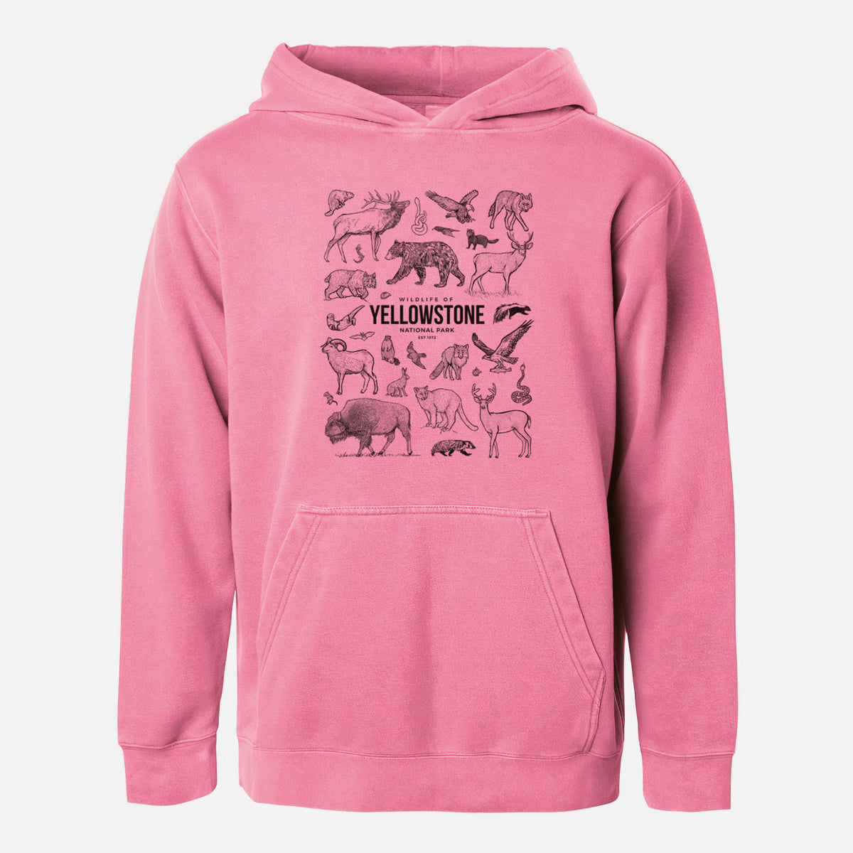 Wildlife of Yellowstone National Park - Youth Pigment Dyed Hoodie