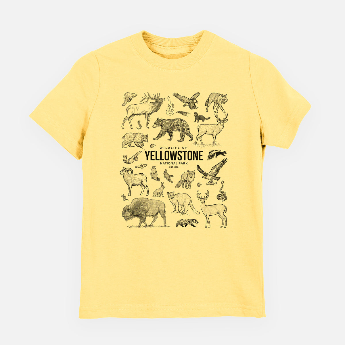 Wildlife of Yellowstone National Park - Youth Shirt