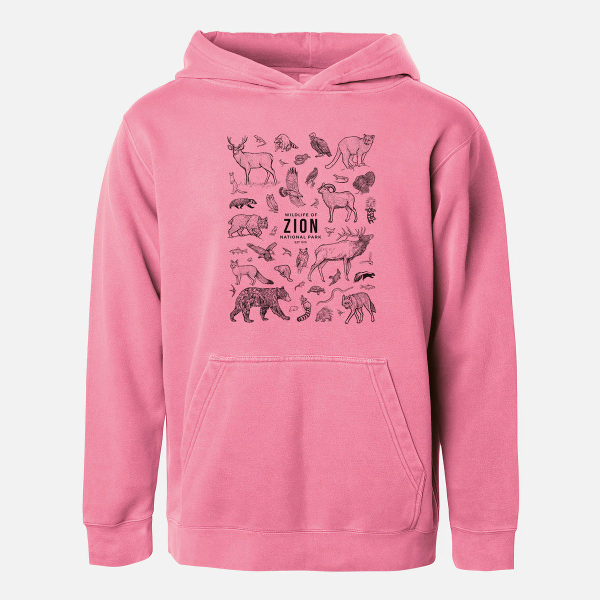 Wildlife of Zion National Park - Youth Pigment Dyed Hoodie