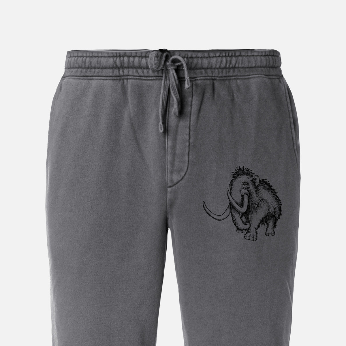 Woolly Mammoth - Mammuthus Primigenius - Unisex Pigment Dyed Sweatpants