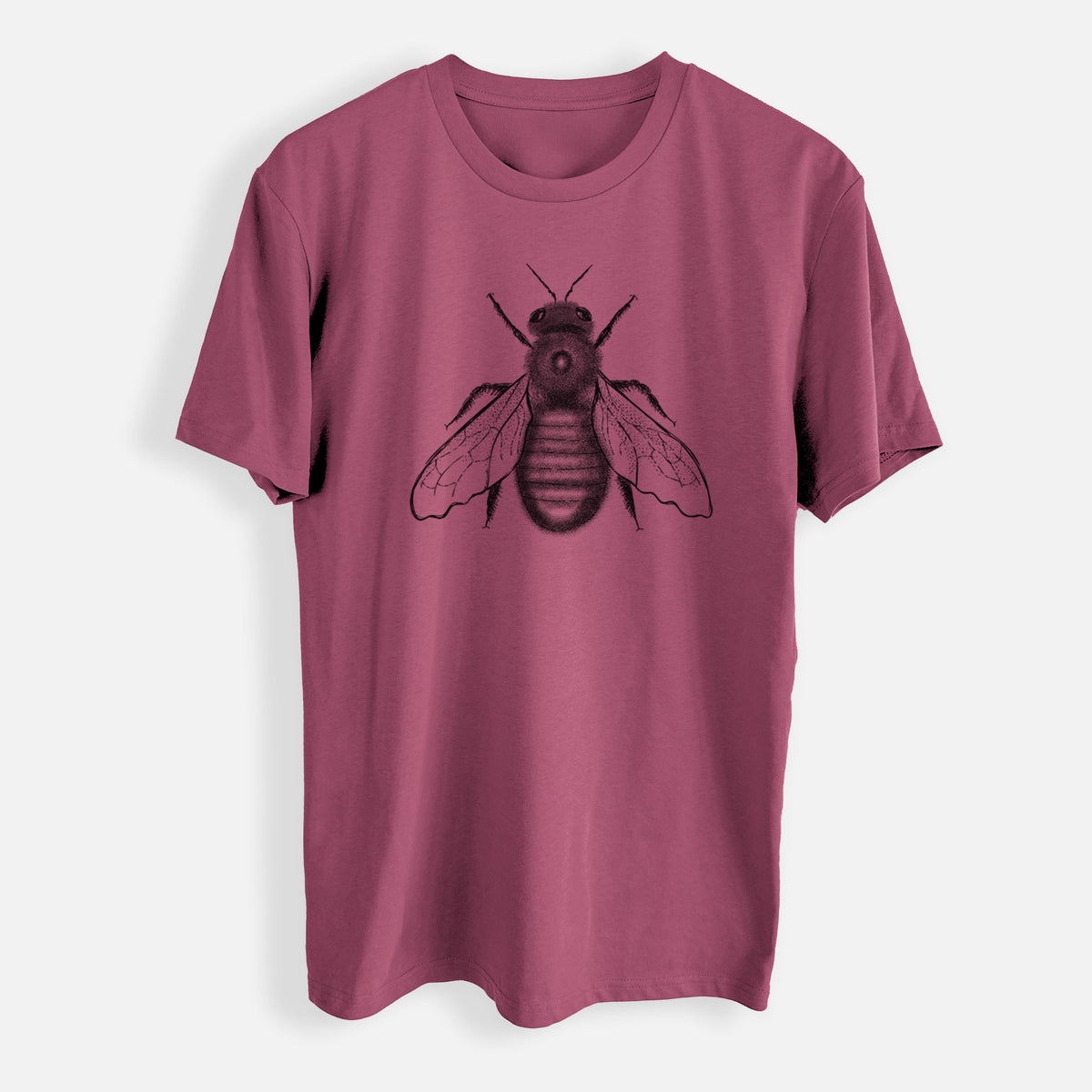 Xylocopa Virginica - Carpenter Bee - Mens Everyday Staple Tee