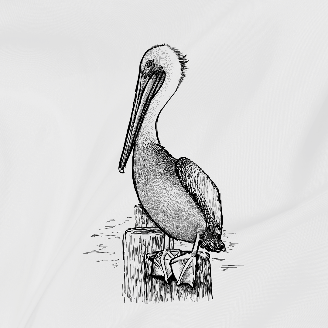 Alt Image