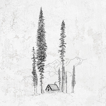 Alt Image
