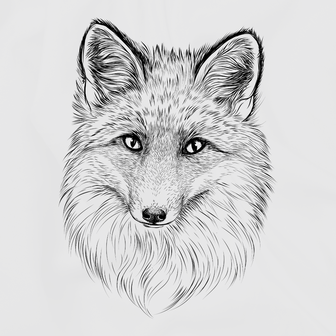 Alt Image