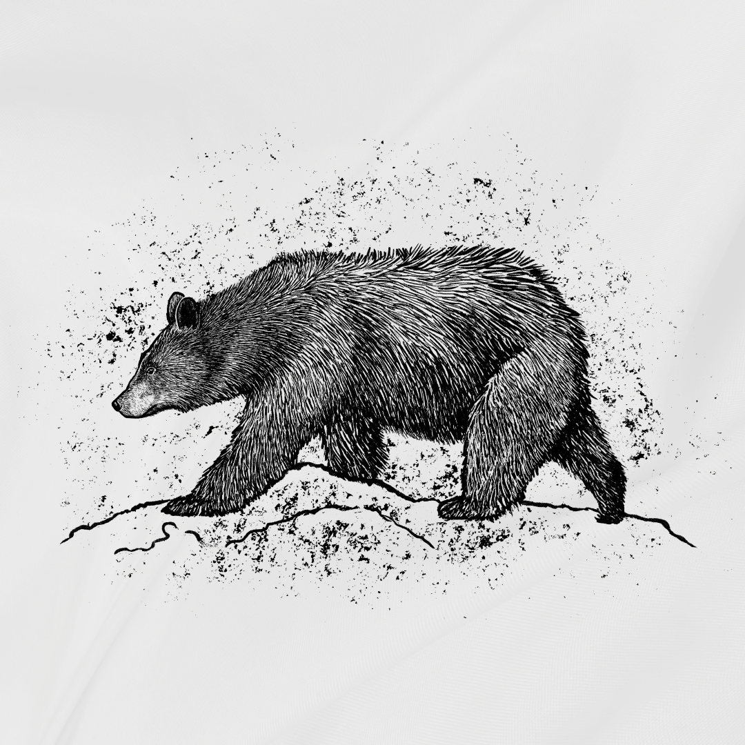 Alt Image