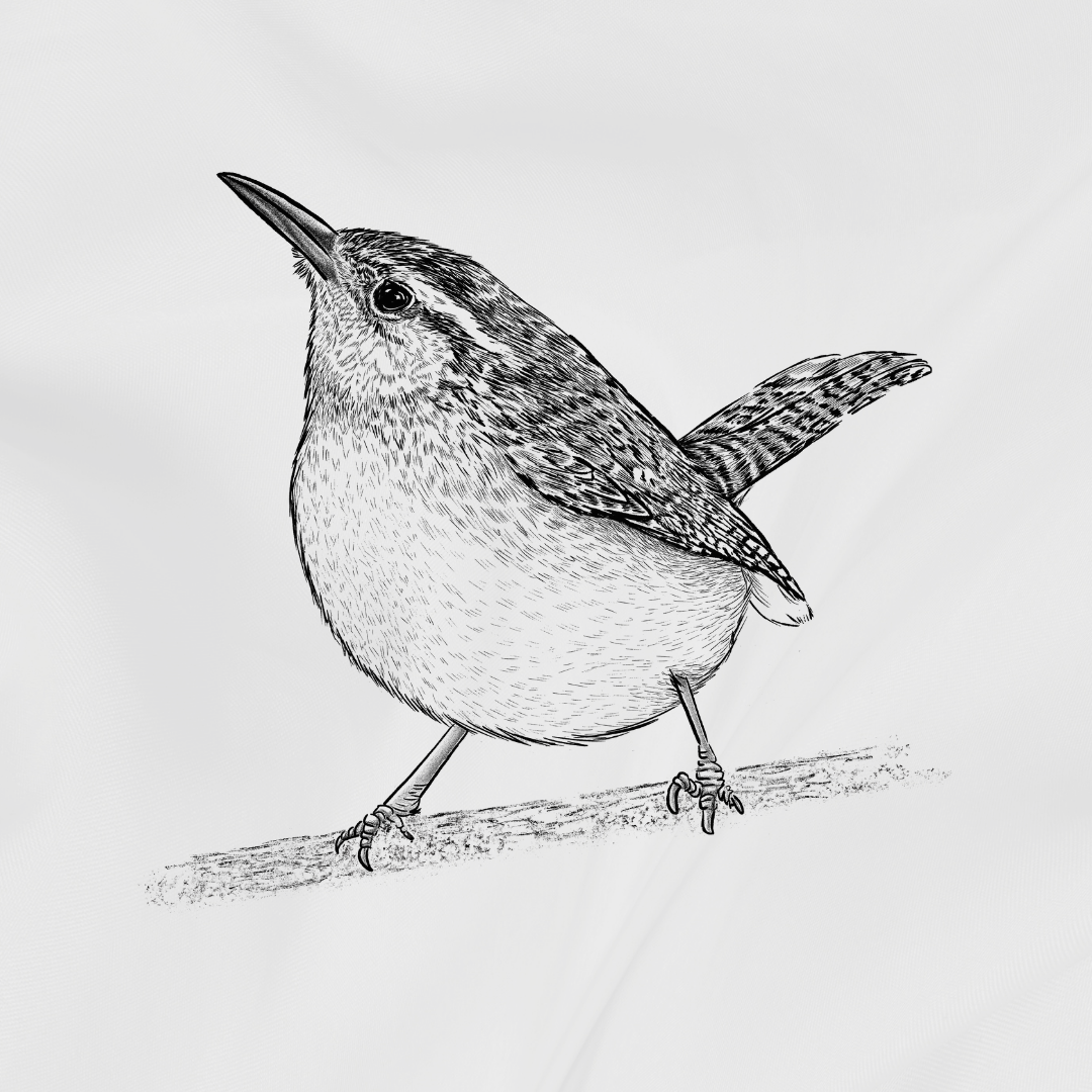 Alt Image
