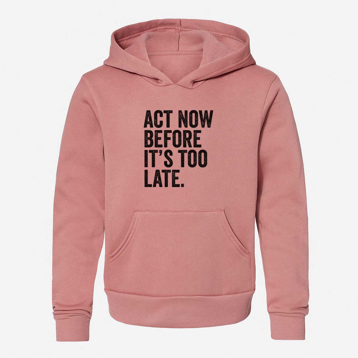 Act Now Before it&#39;s Too Late - Youth Hoodie Sweatshirt
