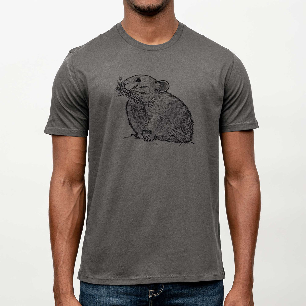 Ochotona princeps - American Pika -  Mineral Wash 100% Organic Cotton Short Sleeve
