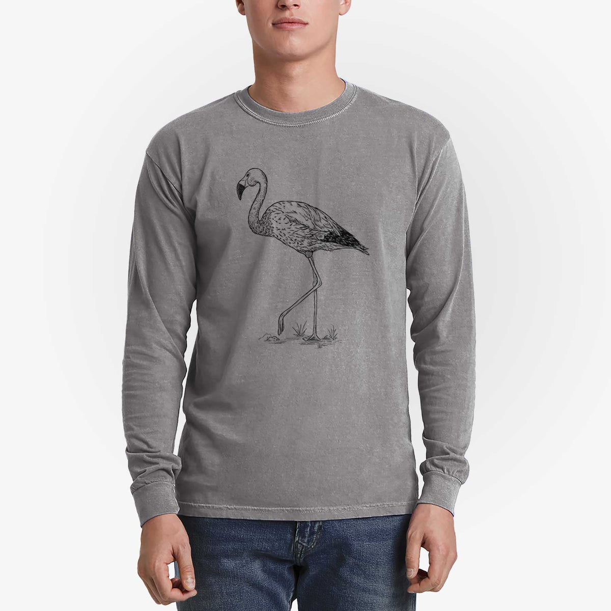 Andean Flamingo - Phoenicoparrus andinus - Heavyweight 100% Cotton Long Sleeve