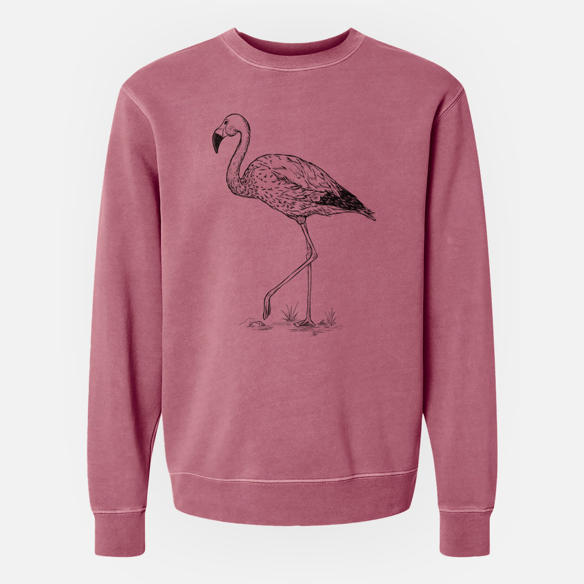 Andean Flamingo - Phoenicoparrus andinus - Unisex Pigment Dyed Crew Sweatshirt