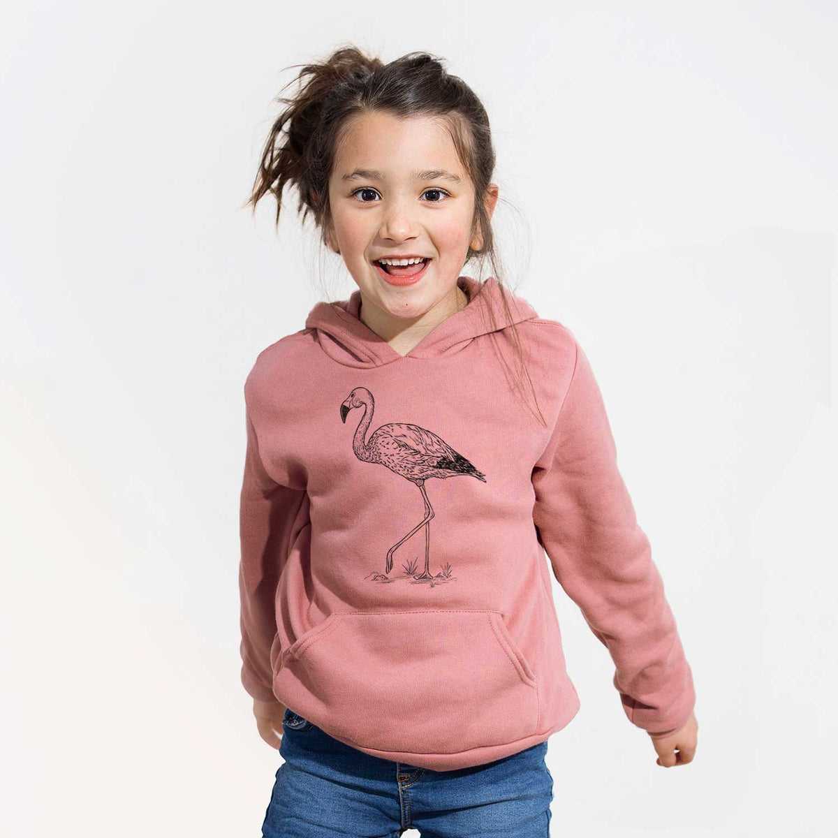 Andean Flamingo - Phoenicoparrus andinus - Youth Hoodie Sweatshirt