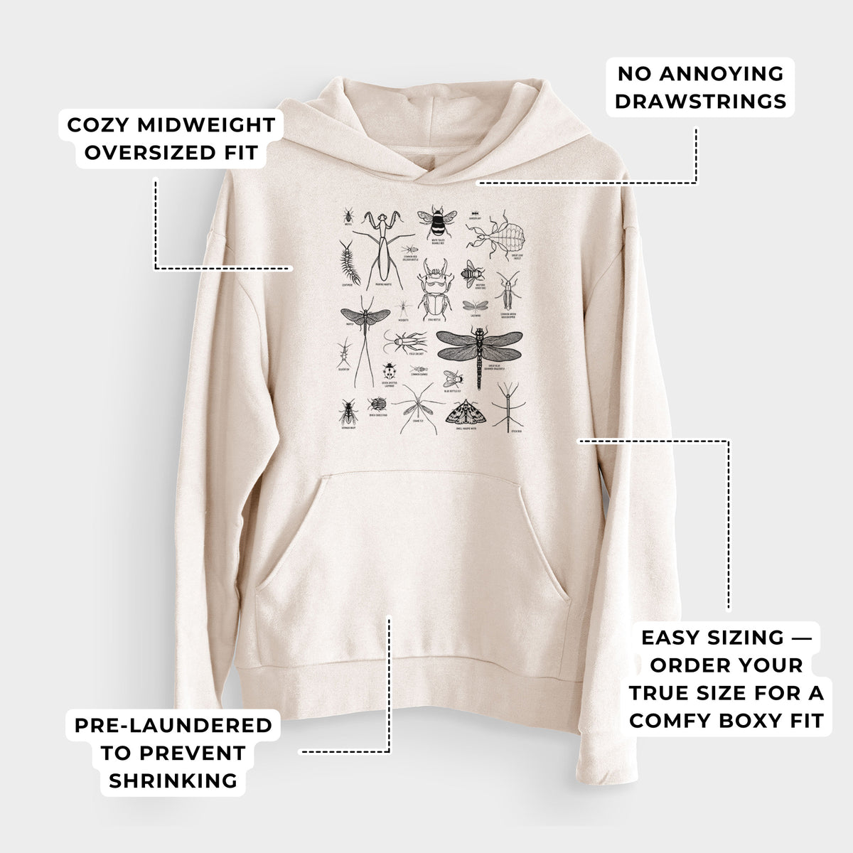 Chart of Arthropods/Insects  - Bodega Midweight Hoodie