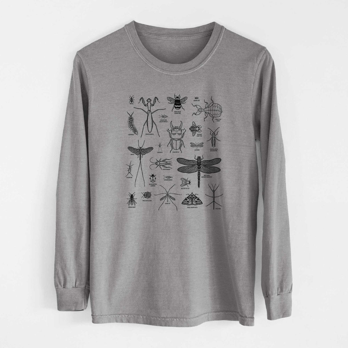 Chart of Arthropods/Insects - Heavyweight 100% Cotton Long Sleeve