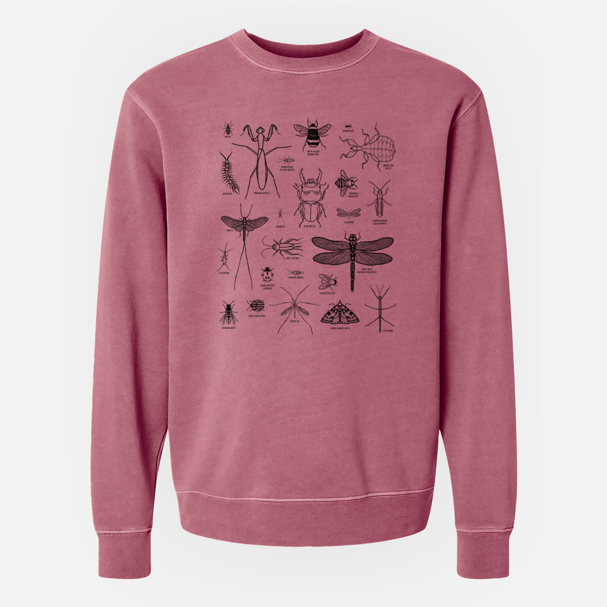 Chart of Arthropods/Insects - Unisex Pigment Dyed Crew Sweatshirt