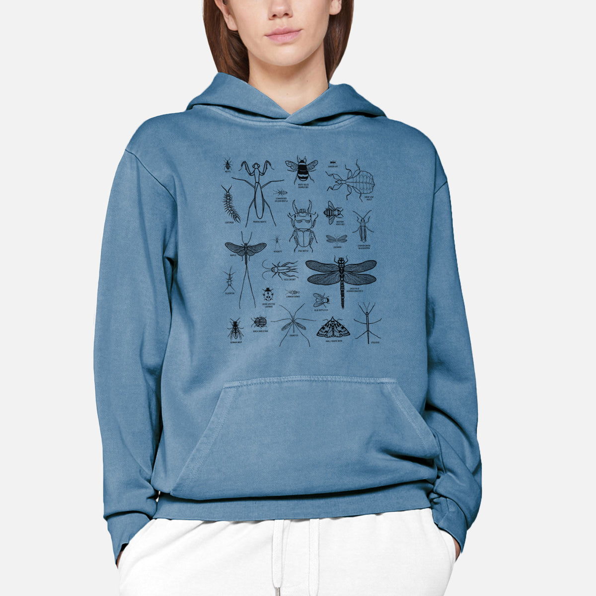 Chart of Arthropods/Insects  - Urban Heavyweight Hoodie