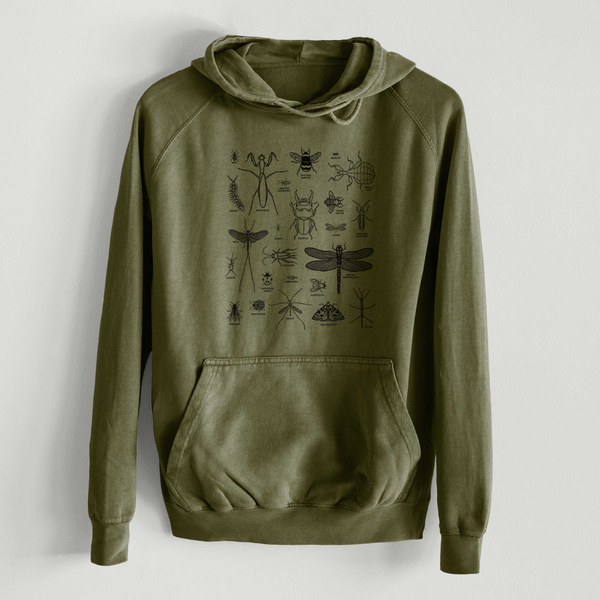 Chart of Arthropods/Insects  - Mid-Weight Unisex Vintage 100% Cotton Hoodie