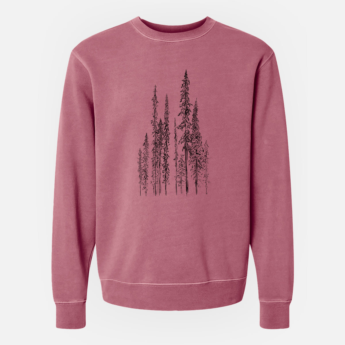 Black Spruce (Picea mariana) - Unisex Pigment Dyed Crew Sweatshirt