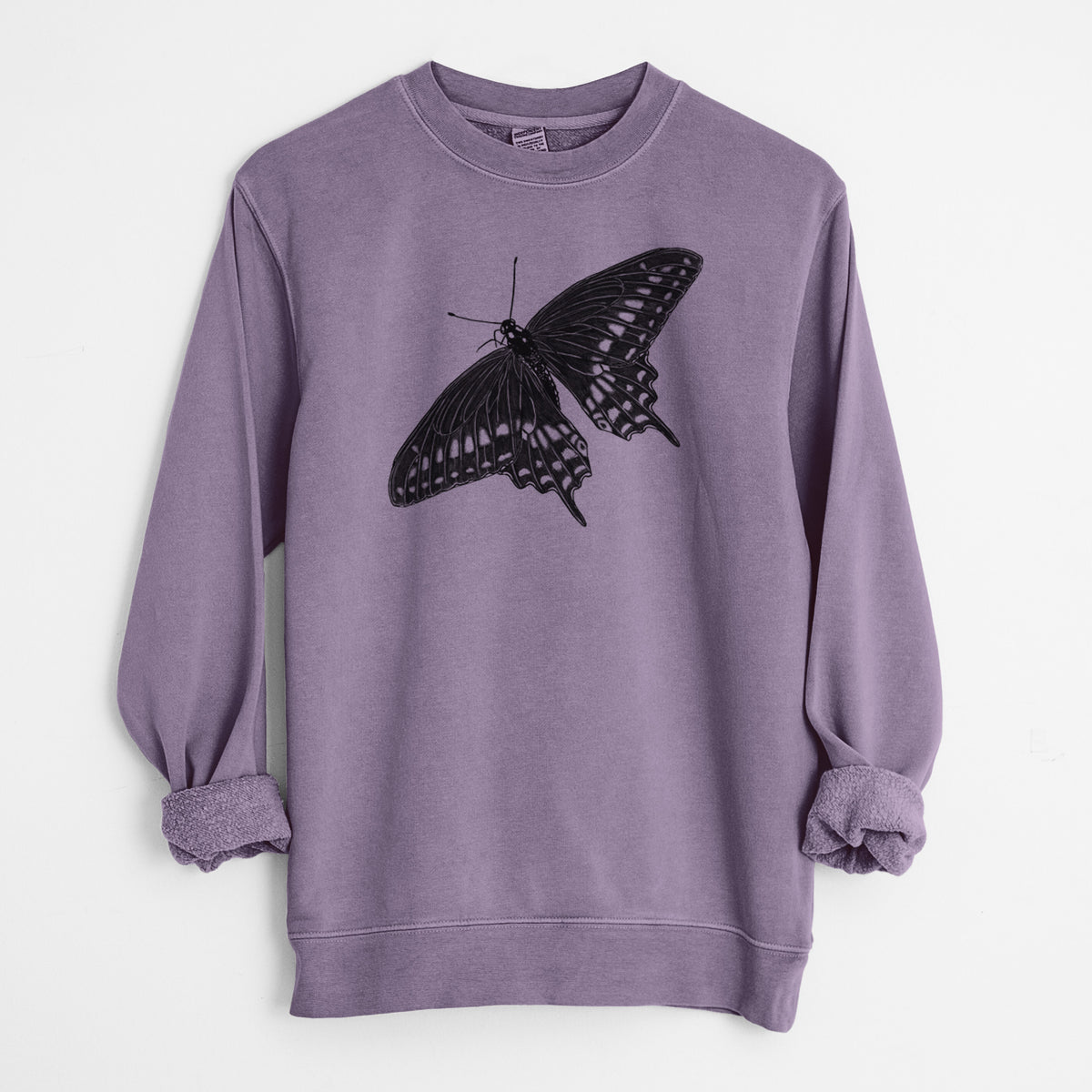 Black Swallowtail Butterfly - Papilio polyxenes - Unisex Pigment Dyed Crew Sweatshirt