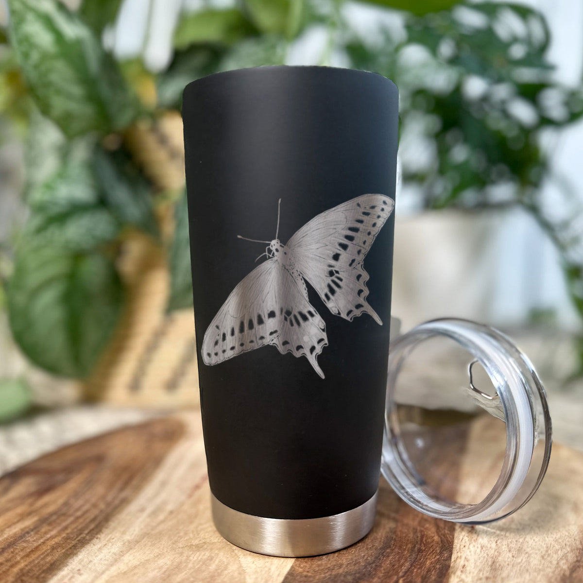 Black Swallowtail Butterfly - Papilio polyxenes - 20oz Polar Insulated Tumbler