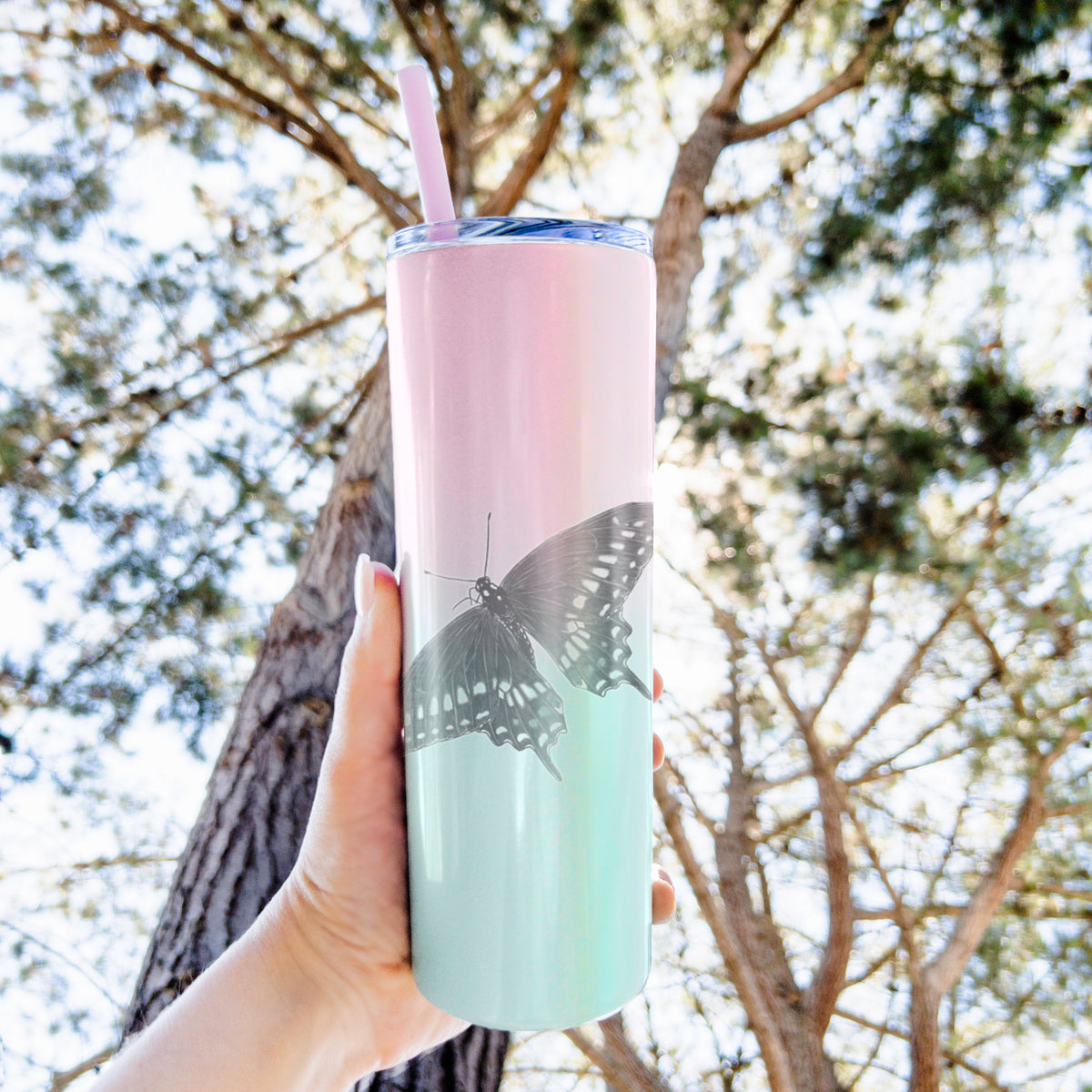 Black Swallowtail Butterfly - Papilio polyxenes - 20oz Skinny Tumbler