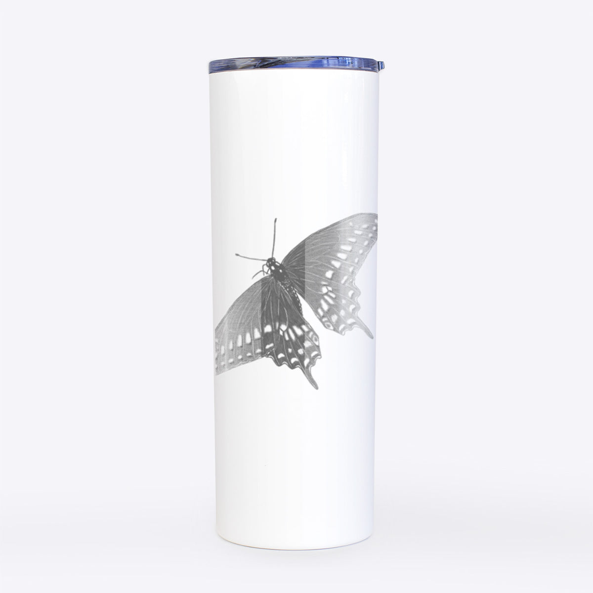 Black Swallowtail Butterfly - Papilio polyxenes - 20oz Skinny Tumbler