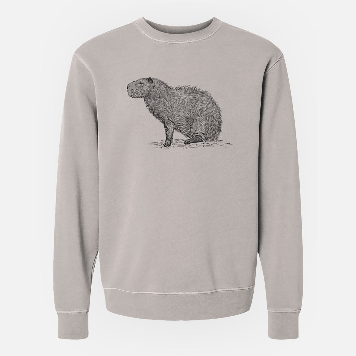 Capybara Profile - Hydrochoerus hydrochaeris - Unisex Pigment Dyed Crew Sweatshirt