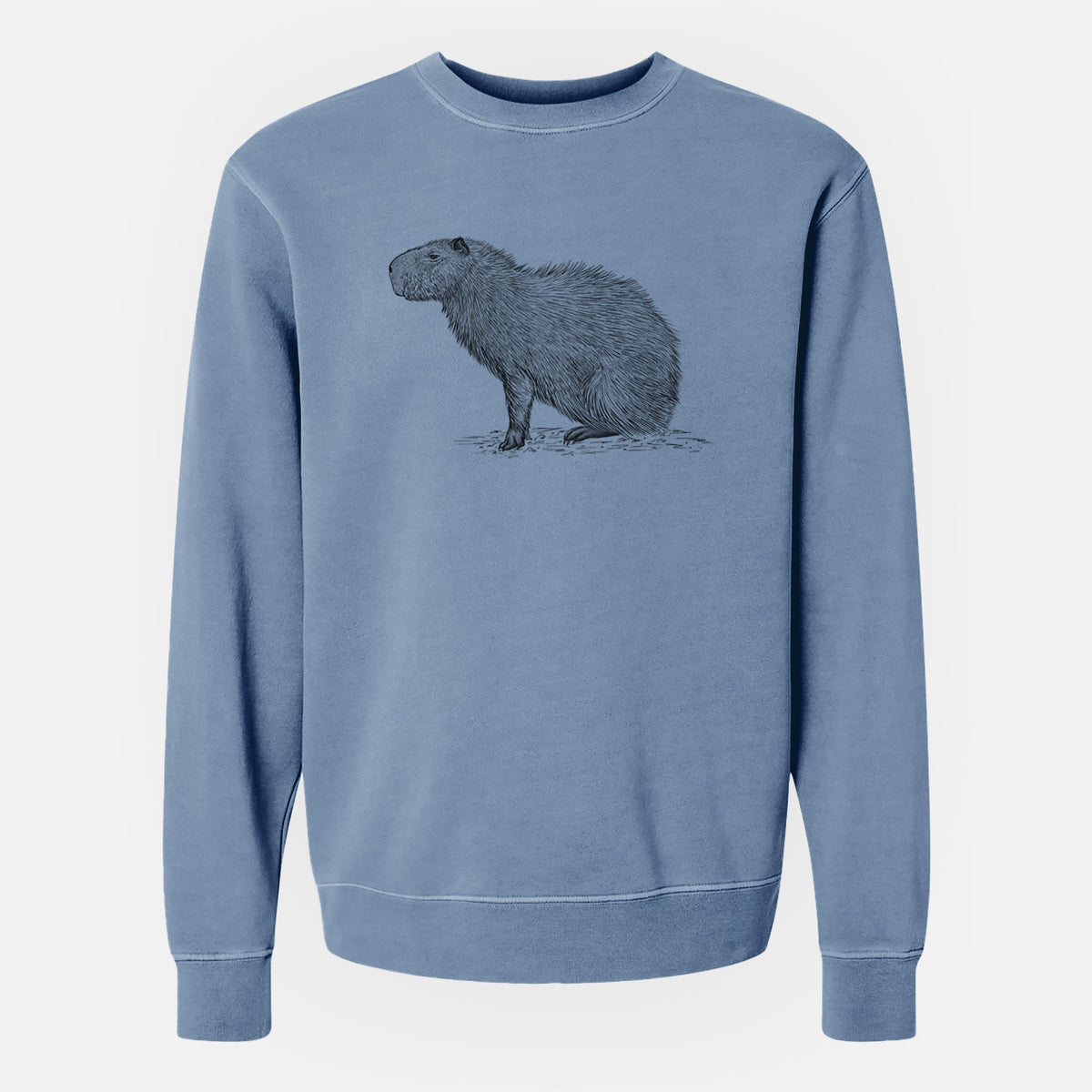 Capybara Profile - Hydrochoerus hydrochaeris - Unisex Pigment Dyed Crew Sweatshirt