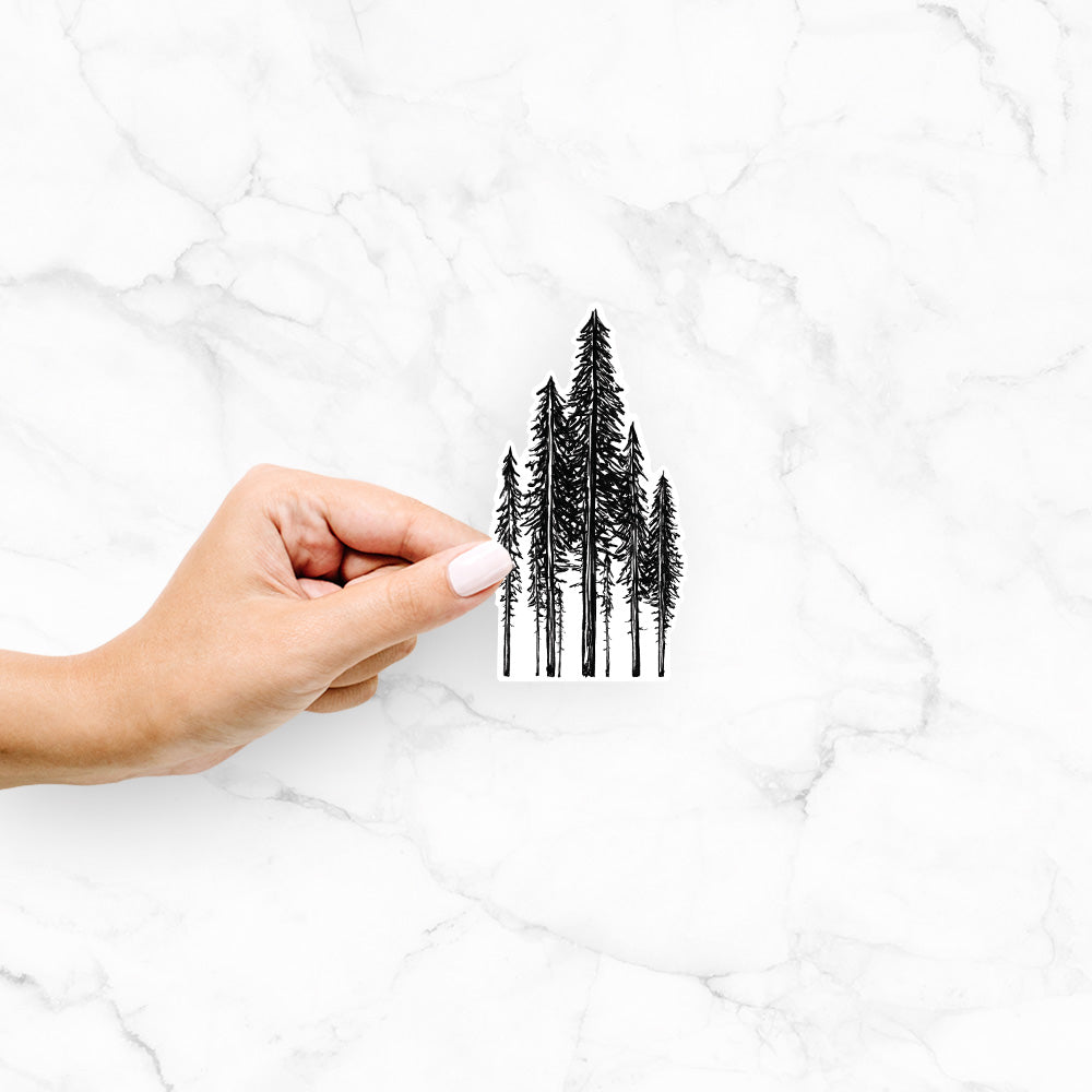 Coastal Redwoods Decal