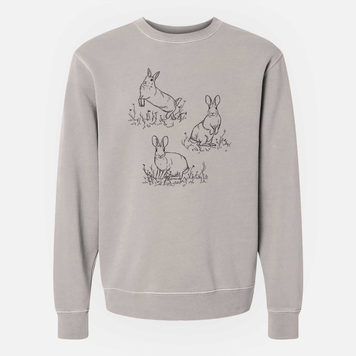 Eastern Cottontail Rabbit Trio - Sylvilagus floridanus - Unisex Pigment Dyed Crew Sweatshirt